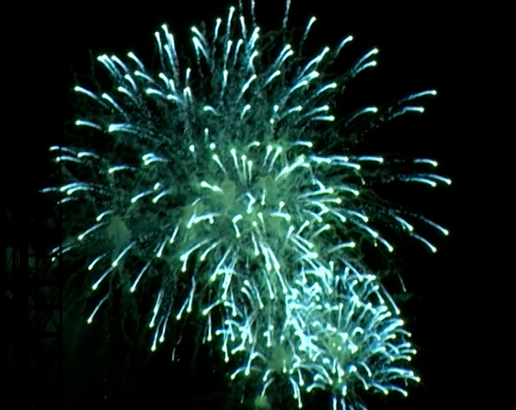 17. Firworks_rgb_300
